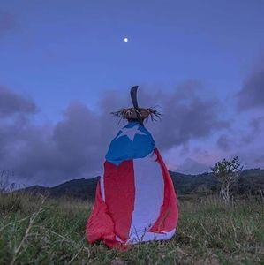 Meet your Posher, Ariel